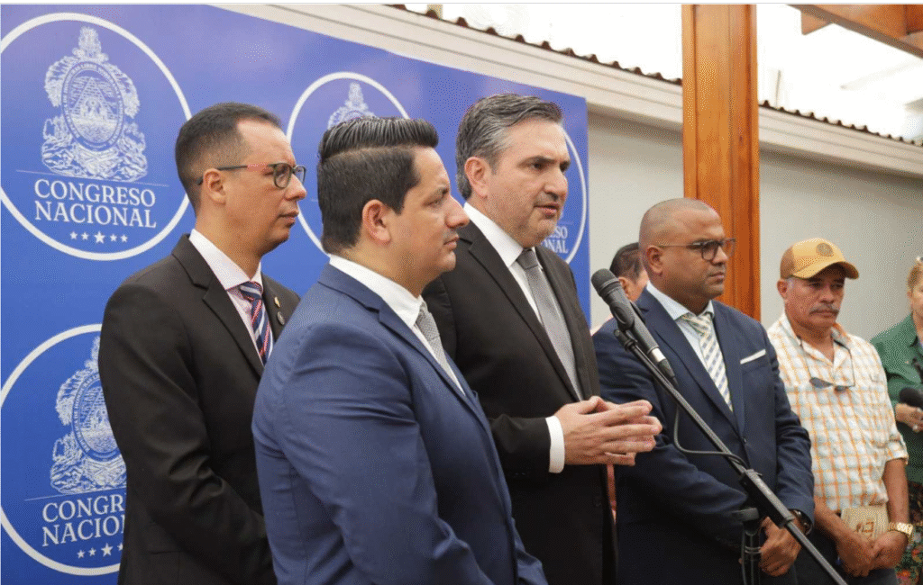Congreso Nacional escucha propuestas de mineros artesanales para impulsar su formalización en Honduras cn1